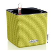 CUBE Color 14 cm - Citron Vert - LECHUZA